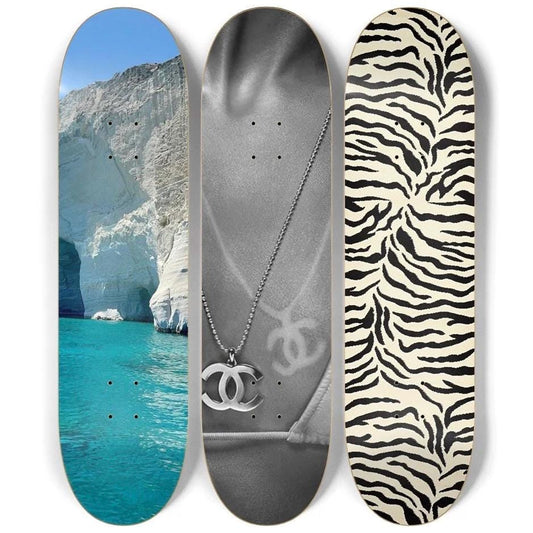 Tropic Zebra Skateboard Deck Wall Art Set
