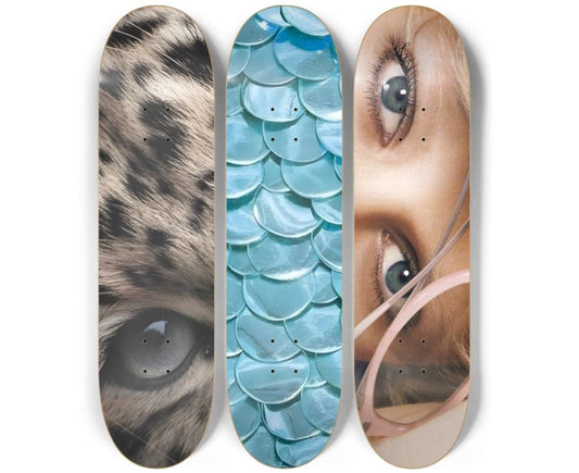 Staring Contest - Blue Skateboard Deck Wall Art Set