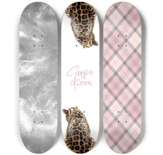 Silver Safari Skateboard Deck Wall Art Set