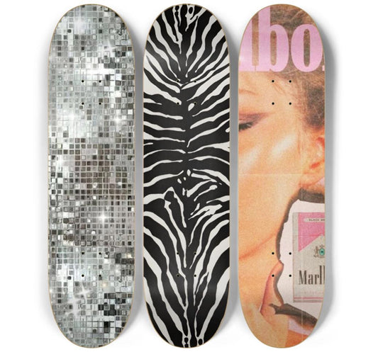 Party Animal Skateboard Deck Wall Art Set