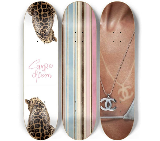 Carpe Diem Skateboard Deck Wall Art Set