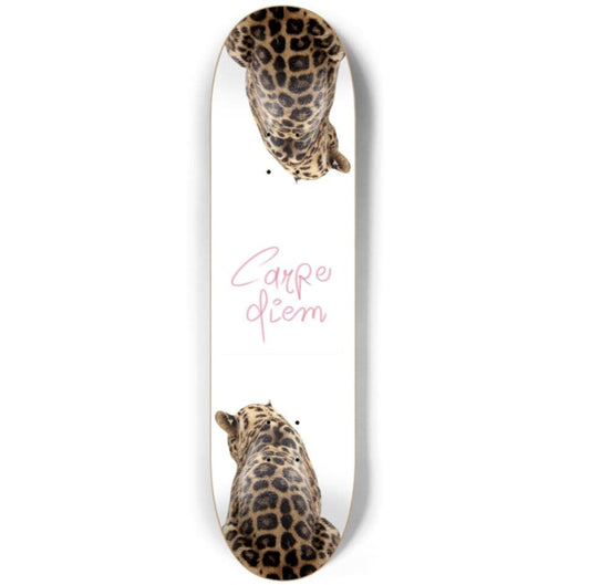 Skateboard Deck Wall Art Set