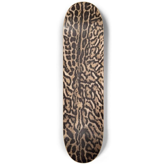 Cheetah Skateboard Deck Wall Art Set